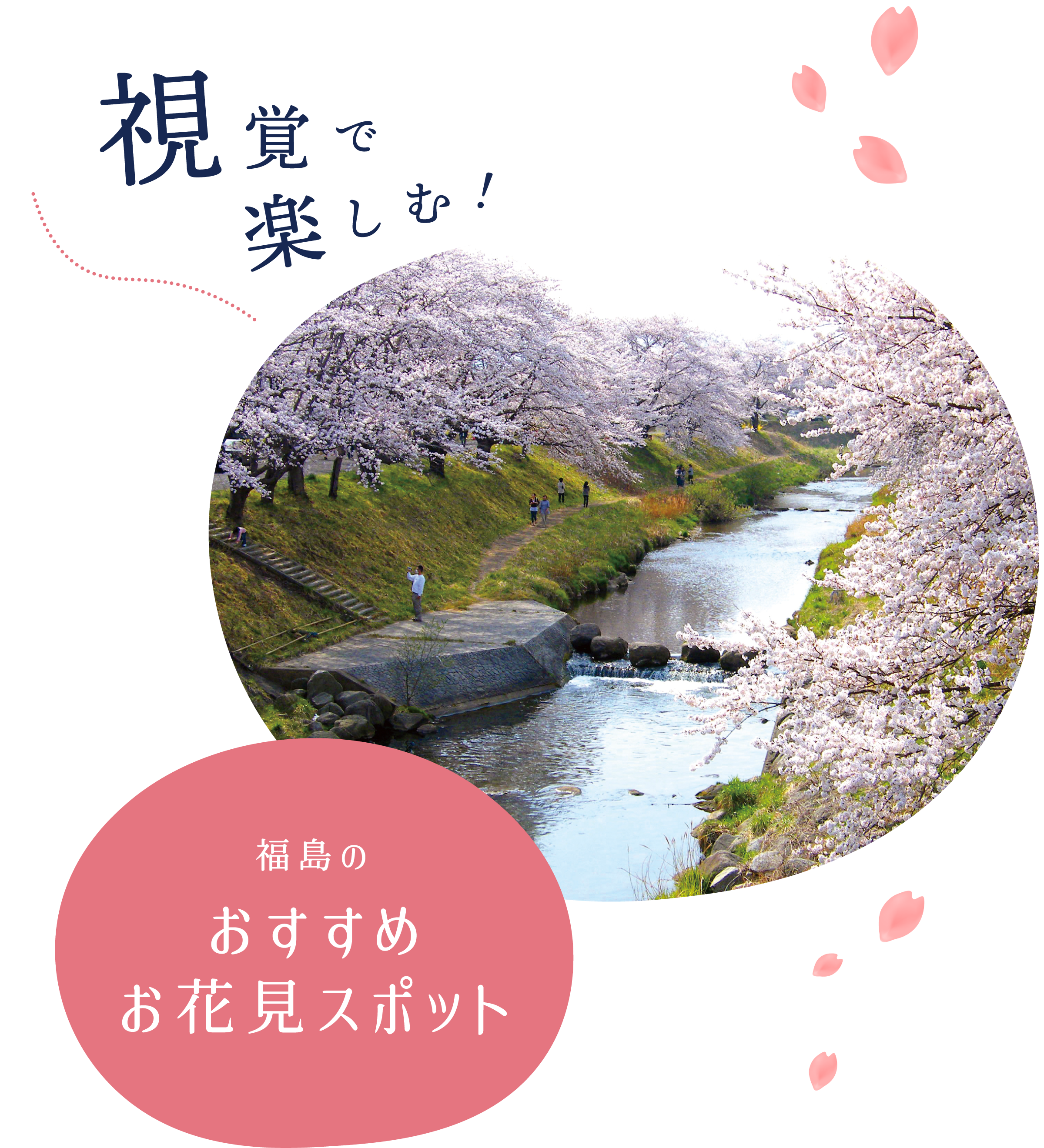 視覚で楽しむ！福島のおすすめお花見スポット
